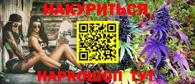 гидра Нальчик