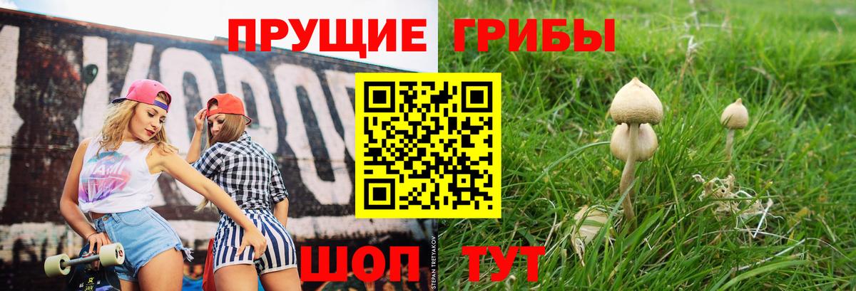 Галлюциногенные грибы Psilocybine cubensis Приморско-Ахтарск
