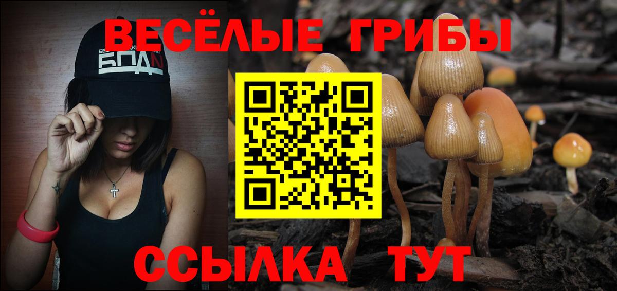 наркотики  Вход с VPN  Приморско-Ахтарск  Псилоцибиновые грибы ЛСД 